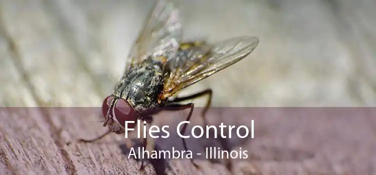Flies Control Alhambra - Illinois