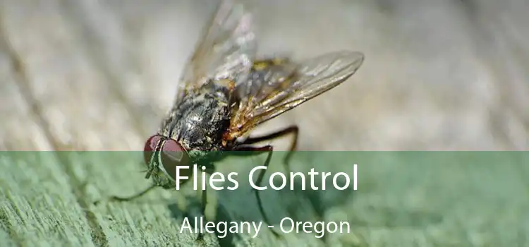 Flies Control Allegany - Oregon