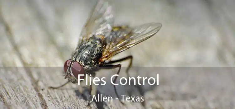 Flies Control Allen - Texas