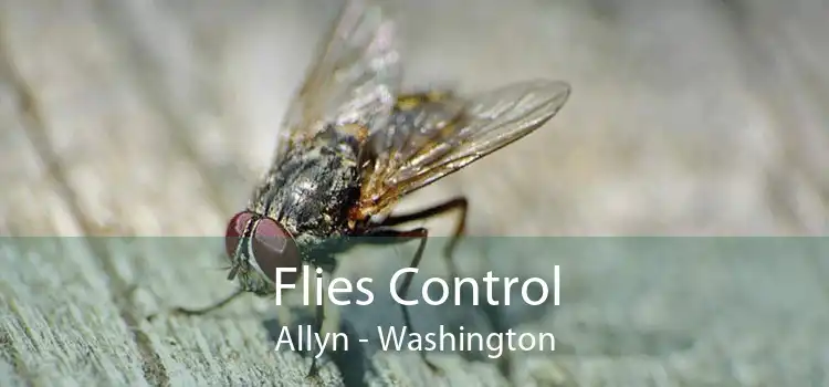 Flies Control Allyn - Washington