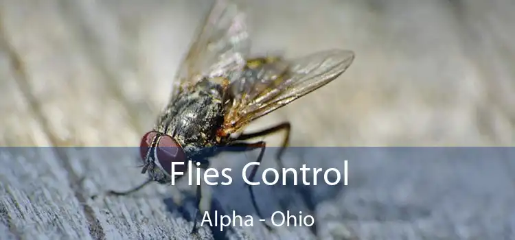 Flies Control Alpha - Ohio