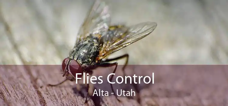 Flies Control Alta - Utah
