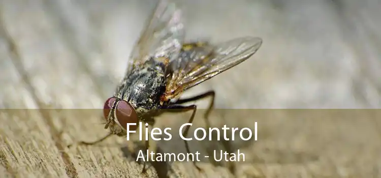 Flies Control Altamont - Utah