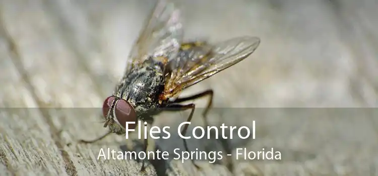 Flies Control Altamonte Springs - Florida