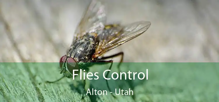 Flies Control Alton - Utah