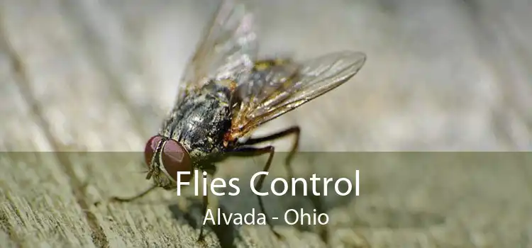 Flies Control Alvada - Ohio