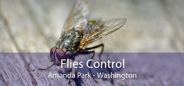 Flies Control Amanda Park - Washington