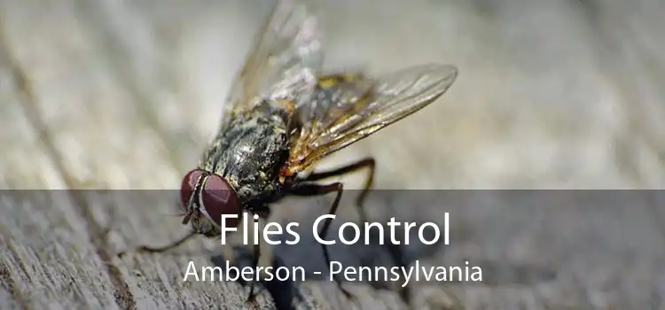 Flies Control Amberson - Pennsylvania