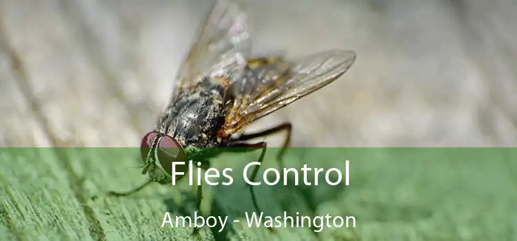 Flies Control Amboy - Washington