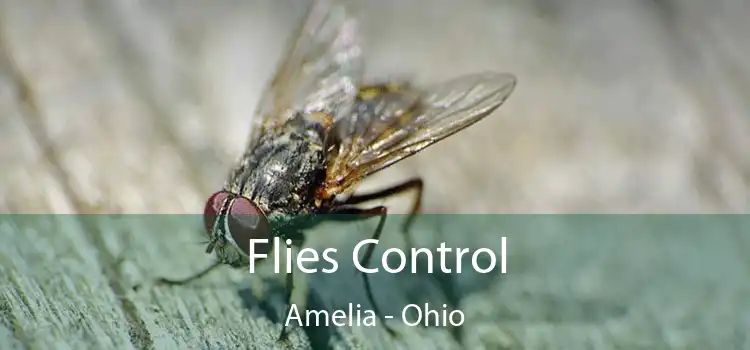 Flies Control Amelia - Ohio