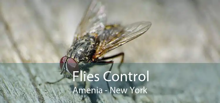 Flies Control Amenia - New York