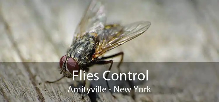 Flies Control Amityville - New York