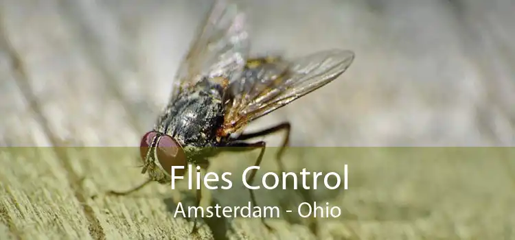 Flies Control Amsterdam - Ohio