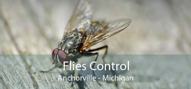 Flies Control Anchorville - Michigan