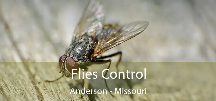 Flies Control Anderson - Missouri