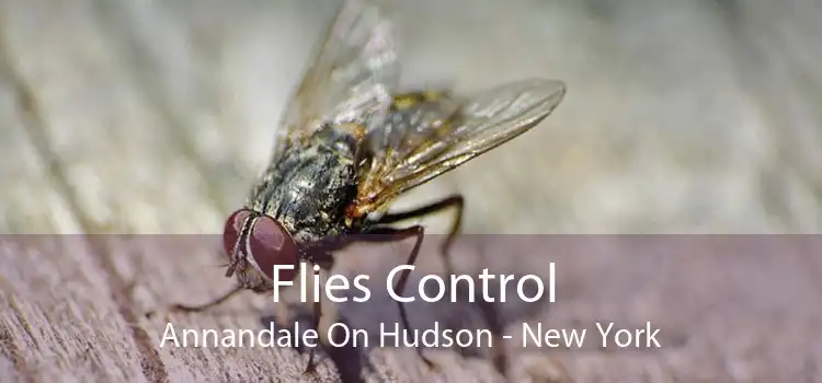 Flies Control Annandale On Hudson - New York