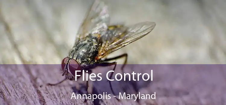 Flies Control Annapolis - Maryland