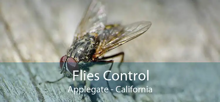 Flies Control Applegate - California
