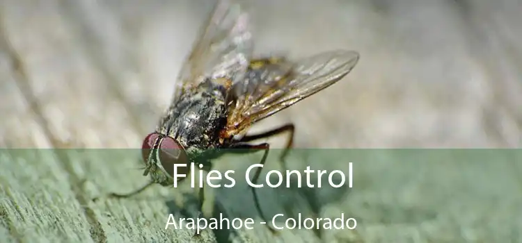 Flies Control Arapahoe - Colorado