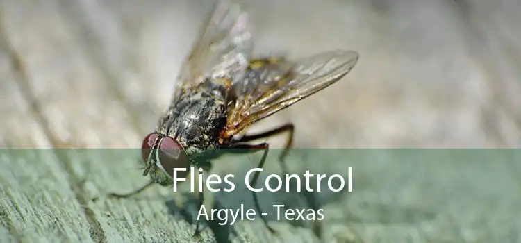 Flies Control Argyle - Texas