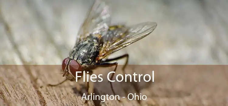 Flies Control Arlington - Ohio