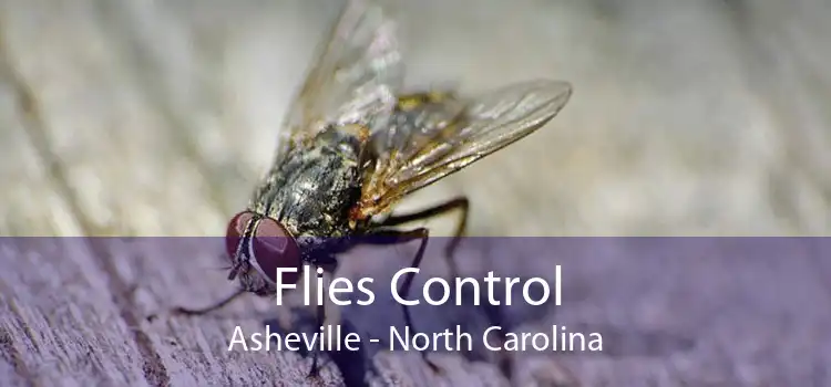 Flies Control Asheville - North Carolina