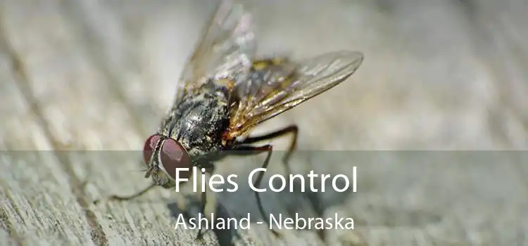 Flies Control Ashland - Nebraska