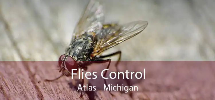 Flies Control Atlas - Michigan