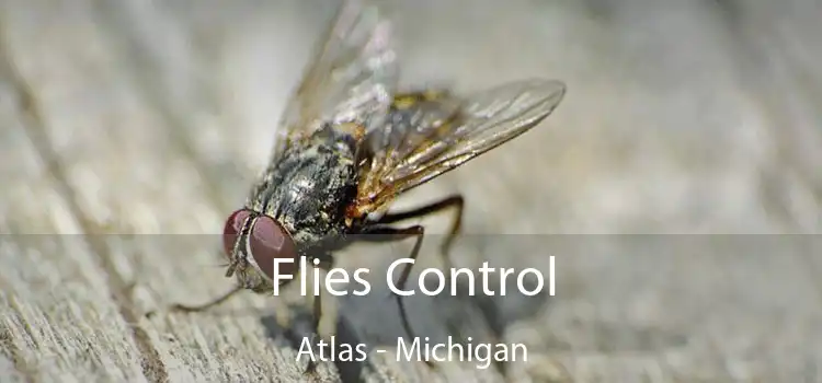 Flies Control Atlas - Michigan