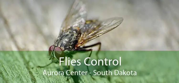 Flies Control Aurora Center - South Dakota