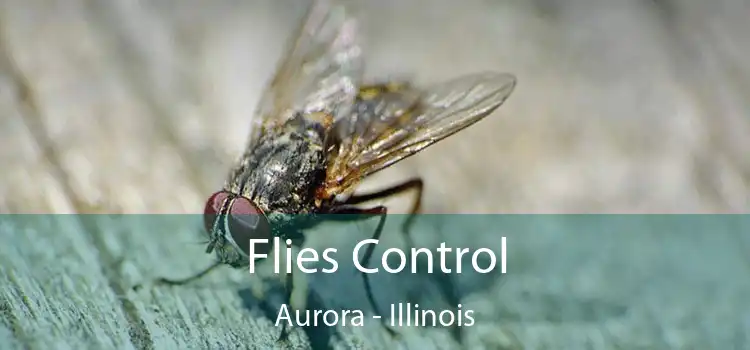 Flies Control Aurora - Illinois