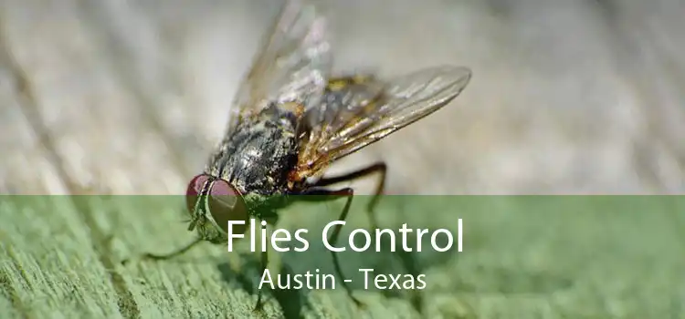 Flies Control Austin - Texas