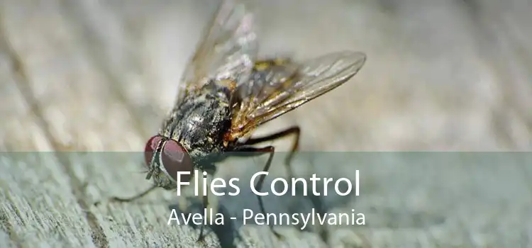 Flies Control Avella - Pennsylvania