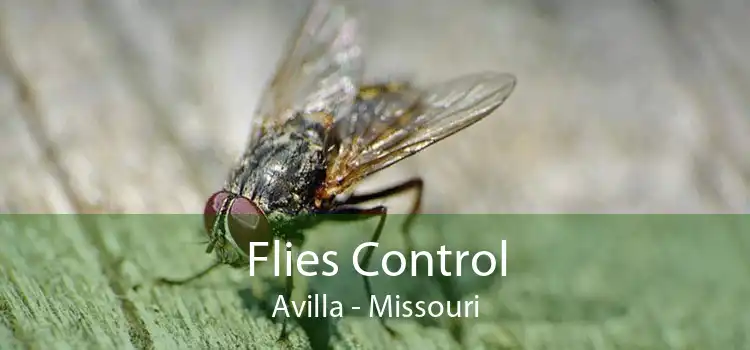 Flies Control Avilla - Missouri