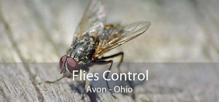 Flies Control Avon - Ohio