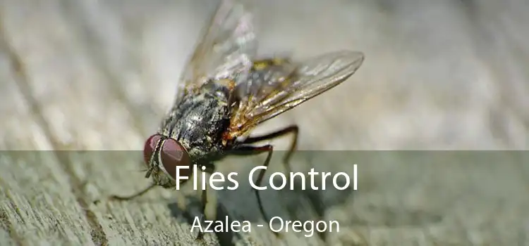 Flies Control Azalea - Oregon