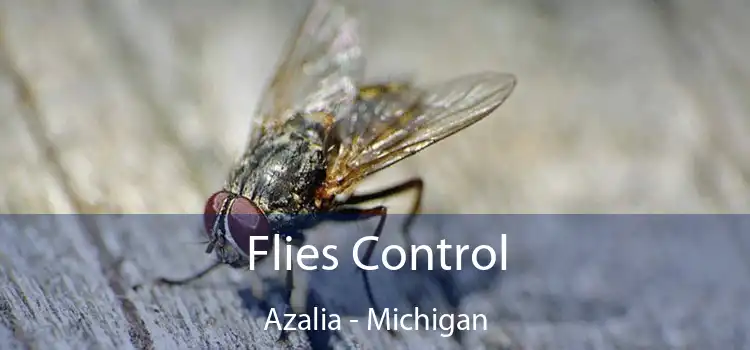 Flies Control Azalia - Michigan