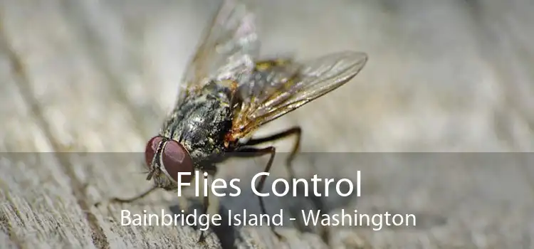Flies Control Bainbridge Island - Washington