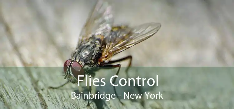 Flies Control Bainbridge - New York