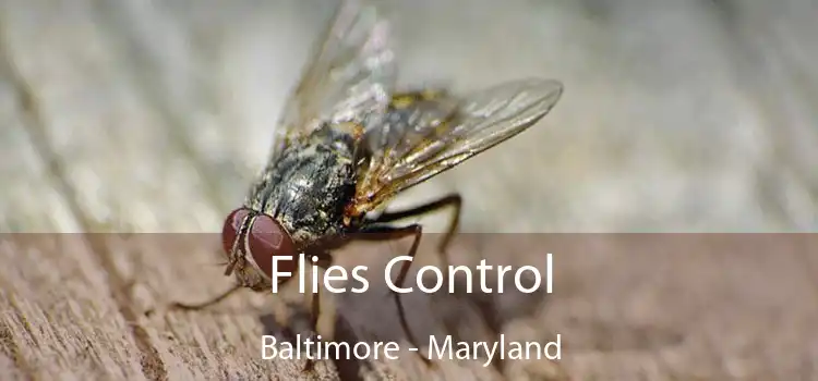 Flies Control Baltimore - Maryland