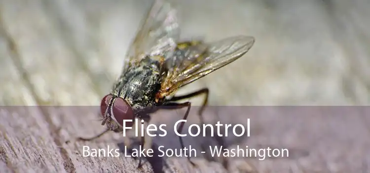 Flies Control Banks Lake South - Washington