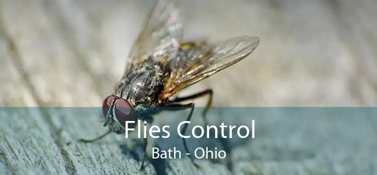 Flies Control Bath - Ohio