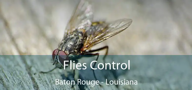 Flies Control Baton Rouge - Louisiana