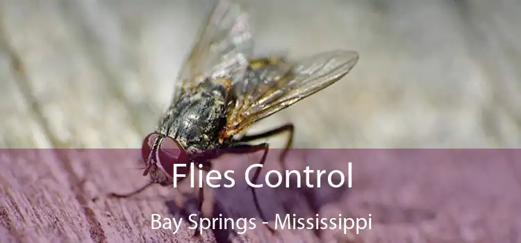 Flies Control Bay Springs - Mississippi