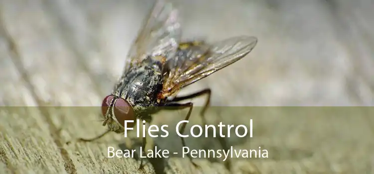 Flies Control Bear Lake - Pennsylvania