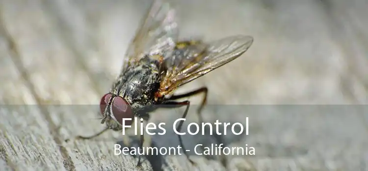 Flies Control Beaumont - California