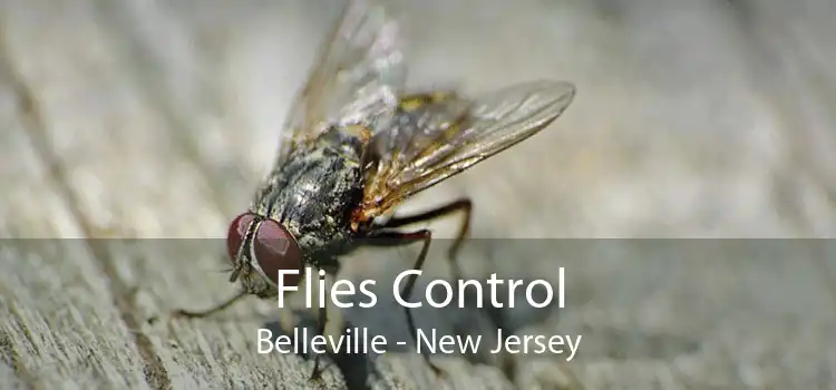 Flies Control Belleville - New Jersey