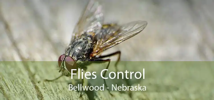 Flies Control Bellwood - Nebraska