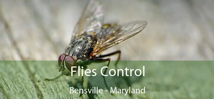 Flies Control Bensville - Maryland