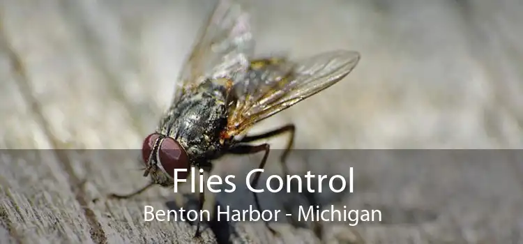Flies Control Benton Harbor - Michigan